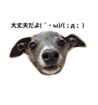 イタグレのRay（個別スタンプ：12）