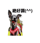 イタグレのRay（個別スタンプ：13）