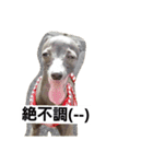 イタグレのRay（個別スタンプ：14）