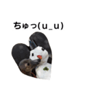 イタグレのRay（個別スタンプ：22）