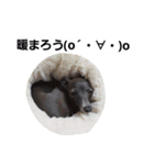 イタグレのRay（個別スタンプ：30）