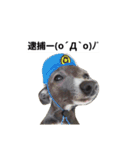 イタグレのRay（個別スタンプ：38）