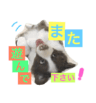 アマンテスファミリー❕（個別スタンプ：28）