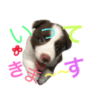 アマンテスファミリー❕（個別スタンプ：31）
