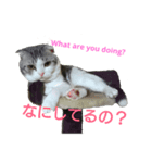 ベネの日常（個別スタンプ：4）