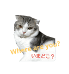 ベネの日常（個別スタンプ：5）