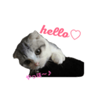 ベネの日常（個別スタンプ：7）