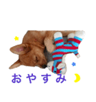 小次朗！（個別スタンプ：1）