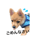 小次朗！（個別スタンプ：3）