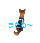 小次朗！（個別スタンプ：11）