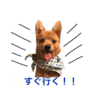 小次朗！（個別スタンプ：12）