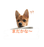 小次朗！（個別スタンプ：13）