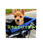 小次朗！（個別スタンプ：16）