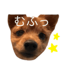 小次朗！（個別スタンプ：17）