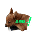 小次朗！（個別スタンプ：21）