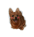小次朗！（個別スタンプ：24）