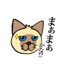 シャム猫と三毛猫（個別スタンプ：2）