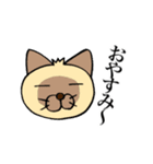 シャム猫と三毛猫（個別スタンプ：3）