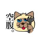 シャム猫と三毛猫（個別スタンプ：6）