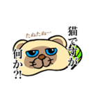 シャム猫と三毛猫（個別スタンプ：8）