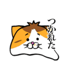 シャム猫と三毛猫（個別スタンプ：11）