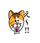 シャム猫と三毛猫（個別スタンプ：12）