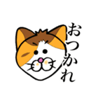 シャム猫と三毛猫（個別スタンプ：14）