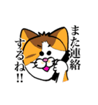 シャム猫と三毛猫（個別スタンプ：16）