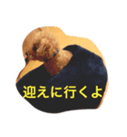 やまとくんの日常（個別スタンプ：2）