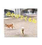 やまとくんの日常（個別スタンプ：5）