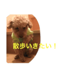 やまとくんの日常（個別スタンプ：7）