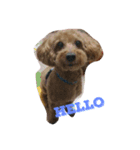 Pokky！！（個別スタンプ：1）