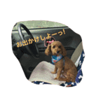 Pokky！！（個別スタンプ：4）