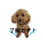 Pokky！！（個別スタンプ：14）