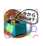 伊東家の姫ちゃん（個別スタンプ：13）