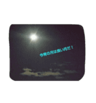 景色一言❗(文字入り.ver)（個別スタンプ：4）