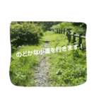 景色一言❗(文字入り.ver)（個別スタンプ：8）