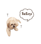 Itim ＆ Minnie Dog lover（個別スタンプ：7）
