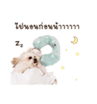 Itim ＆ Minnie Dog lover（個別スタンプ：14）
