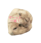 ハムちゃんずの怠惰（個別スタンプ：6）