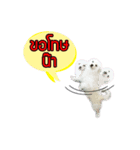 All my love whitedog（個別スタンプ：2）