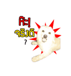 All my love whitedog（個別スタンプ：3）