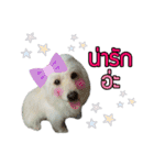 All my love whitedog（個別スタンプ：7）