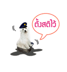 All my love whitedog（個別スタンプ：9）