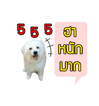 All my love whitedog（個別スタンプ：10）