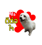 All my love whitedog（個別スタンプ：12）