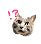 ふてぶてしい猫ふく（個別スタンプ：3）