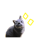 ふてぶてしい猫ふく（個別スタンプ：4）