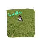 fuchocho2（個別スタンプ：23）
