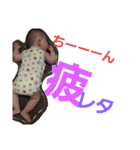 stmp（個別スタンプ：7）